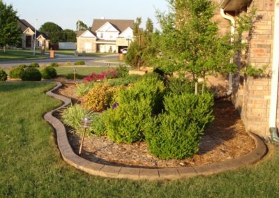 A garden with bushes and flowers in the middle of it.