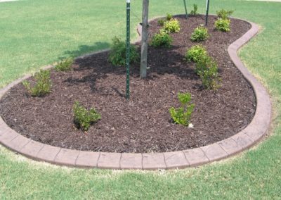 A garden with mulch and trees in the middle of it.